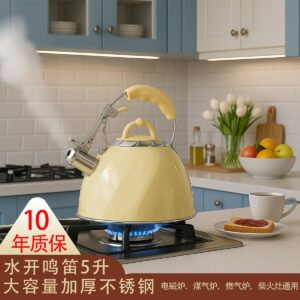 Classic Stainless Steel Boiling Kettle