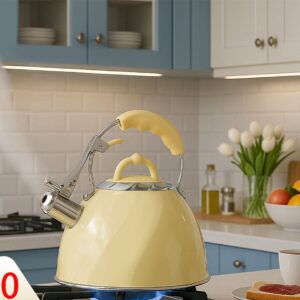 Classic Stainless Steel Boiling Kettle