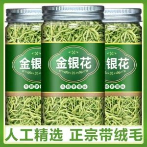Loose Leaf Green Tea Refill Bag
